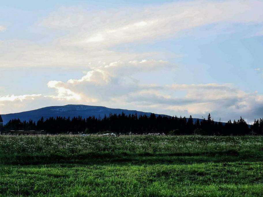 Pokoje U Kasi I Marcina Villa Lipnica Wielka Dış mekan fotoğraf