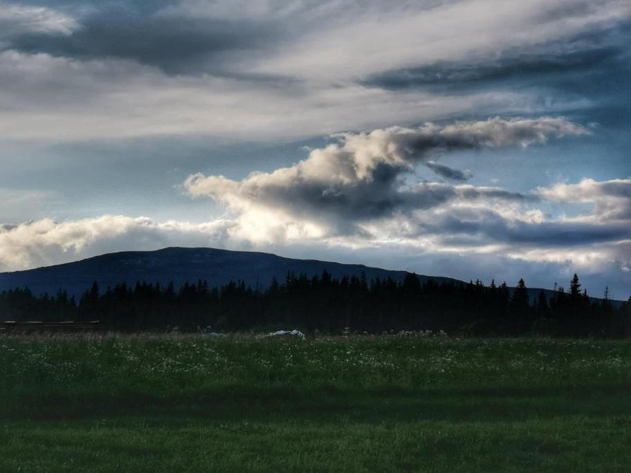 Pokoje U Kasi I Marcina Villa Lipnica Wielka Dış mekan fotoğraf